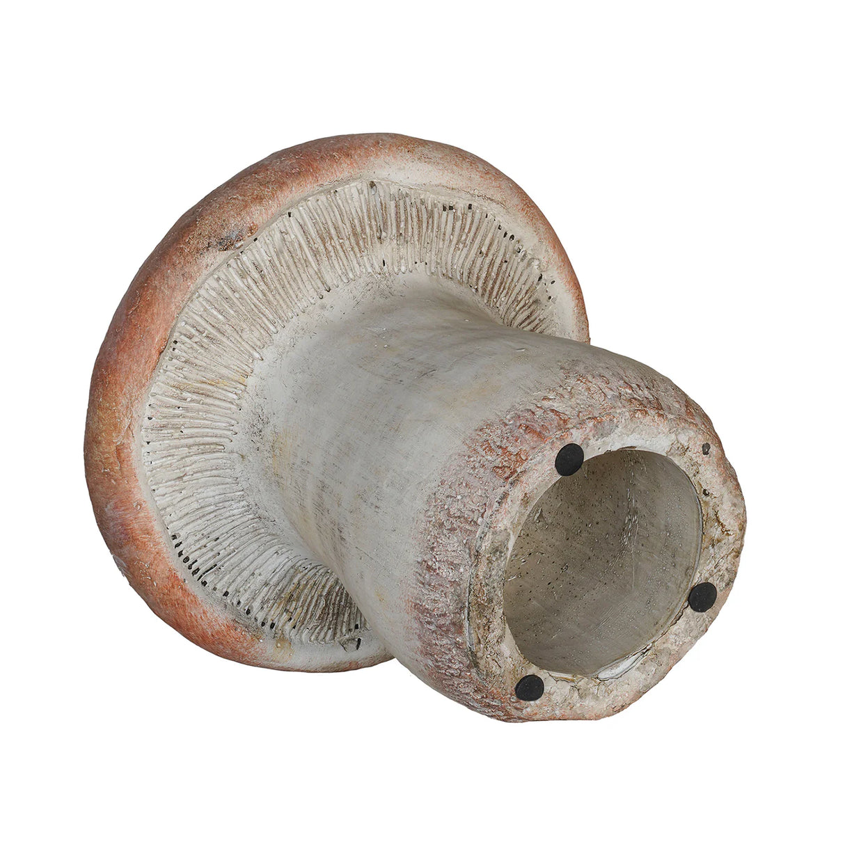 Giant Concrete Mushroom Knickknack Holders