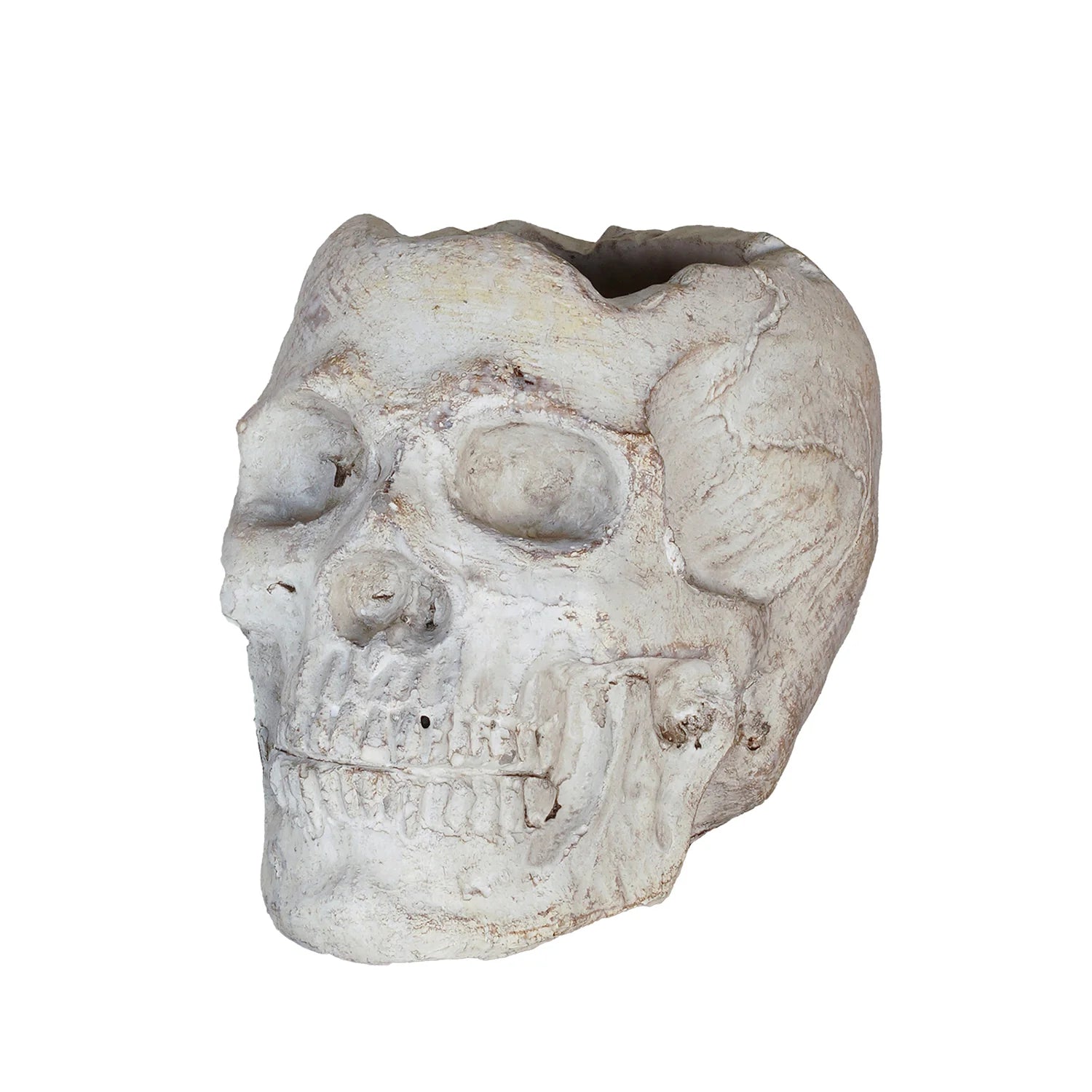 Concrete Momento Mori Mini Skull Planter