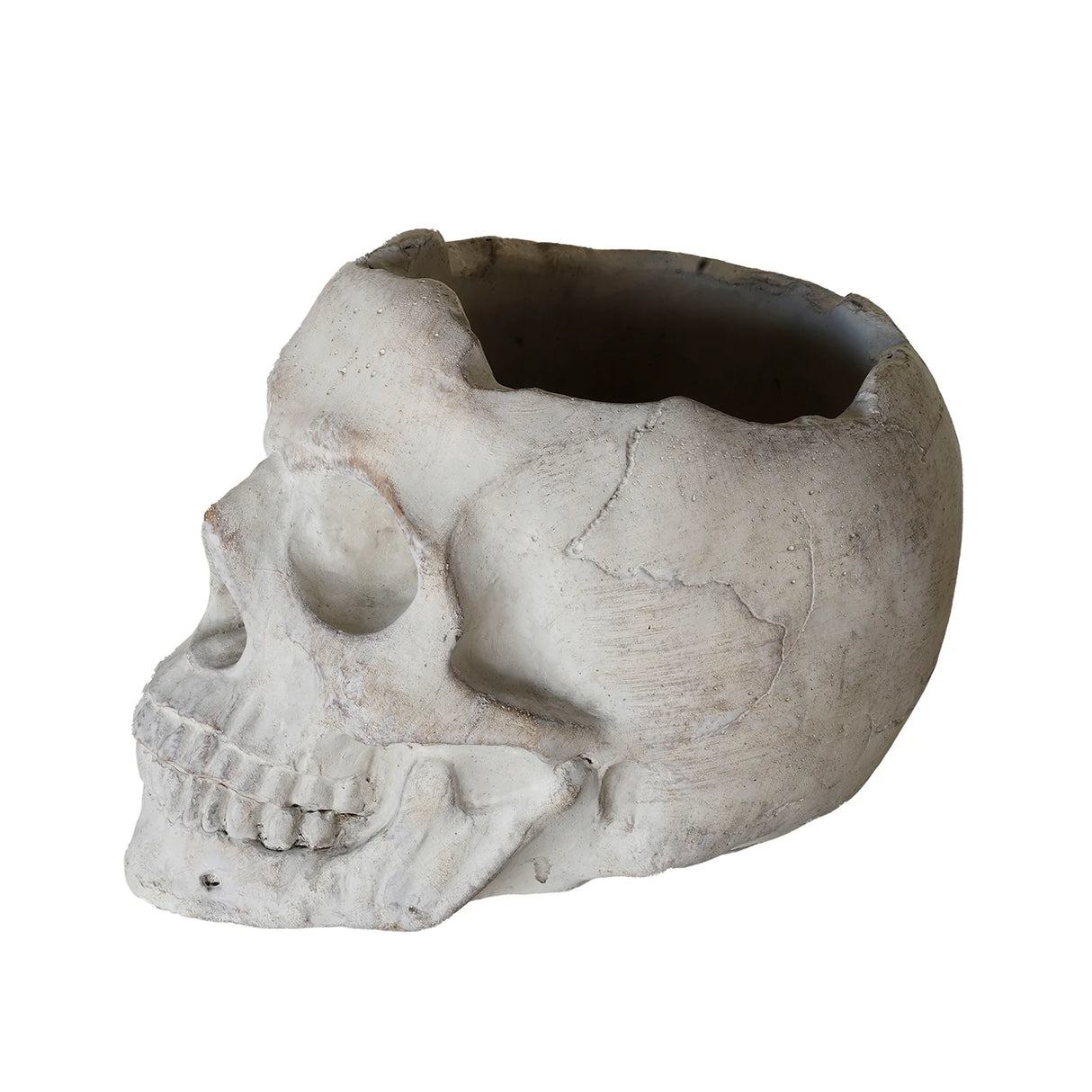 Concrete Momento Mori Mini Skull Planter