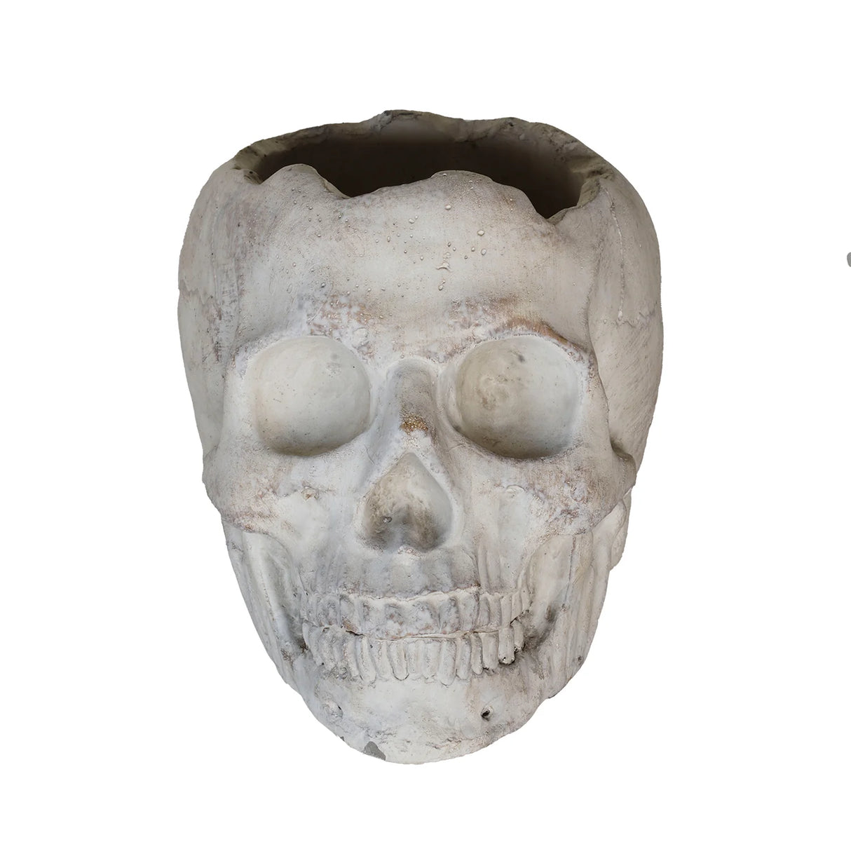 Concrete Momento Mori Mini Skull Planter