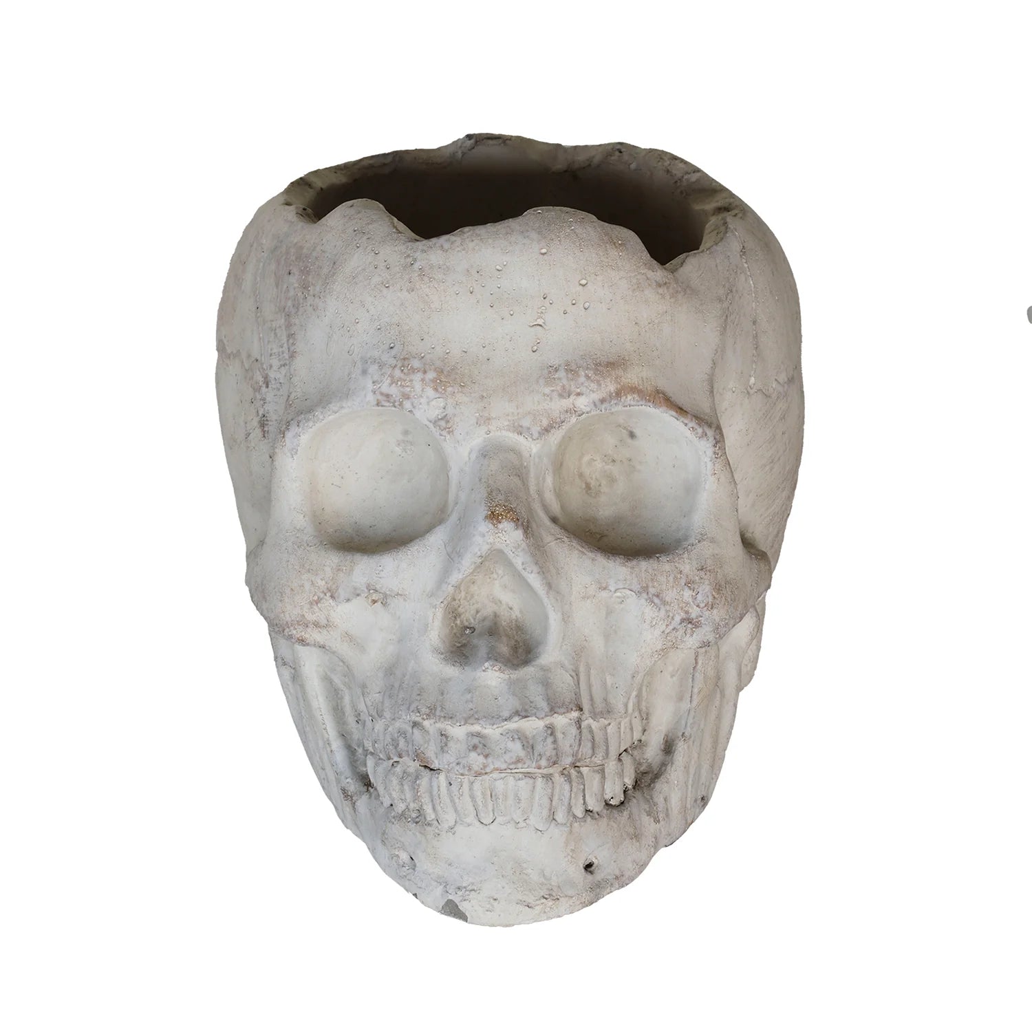 Concrete Momento Mori Mini Skull Planter