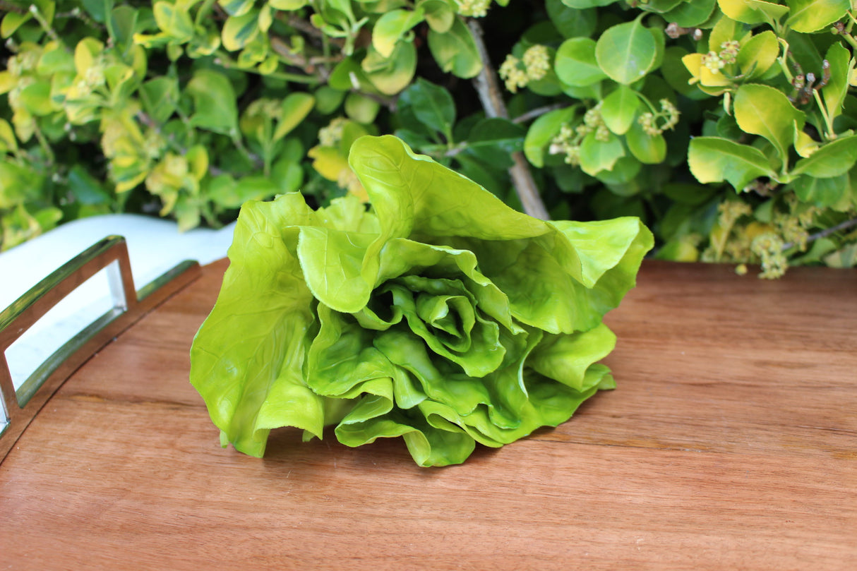 Fake Head of Lettuce