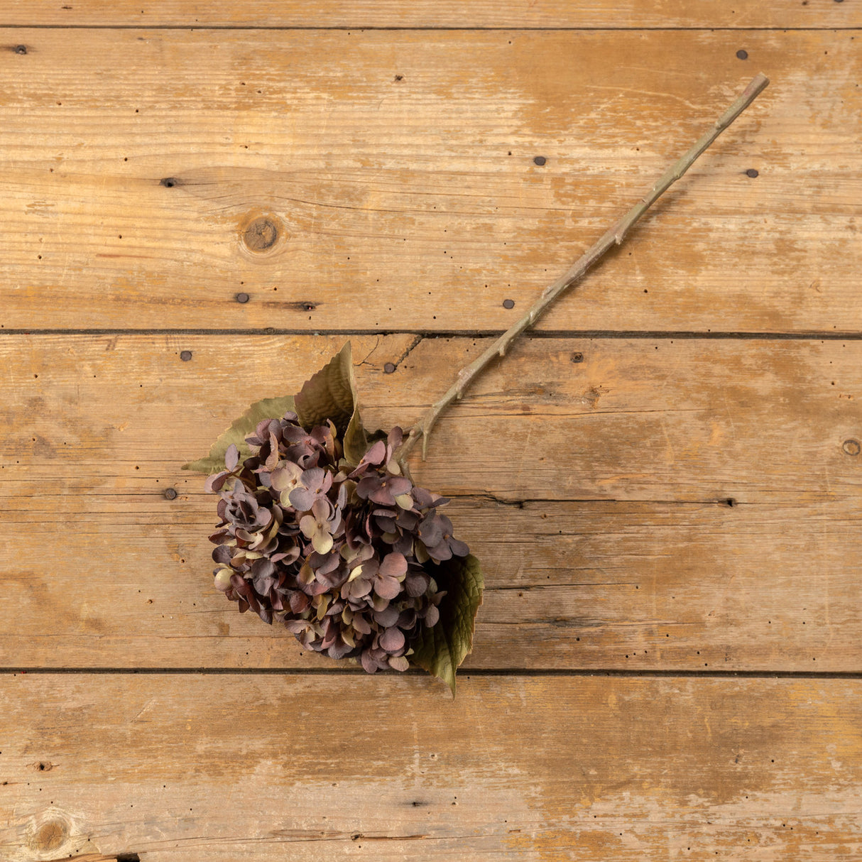 Beige & Purple Hydrangea Spray