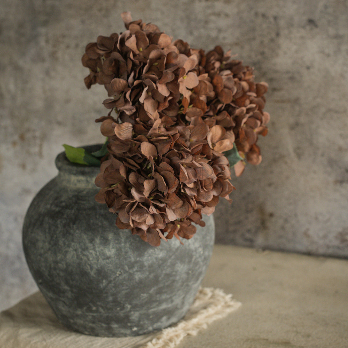 Brown Hydrangea Spay