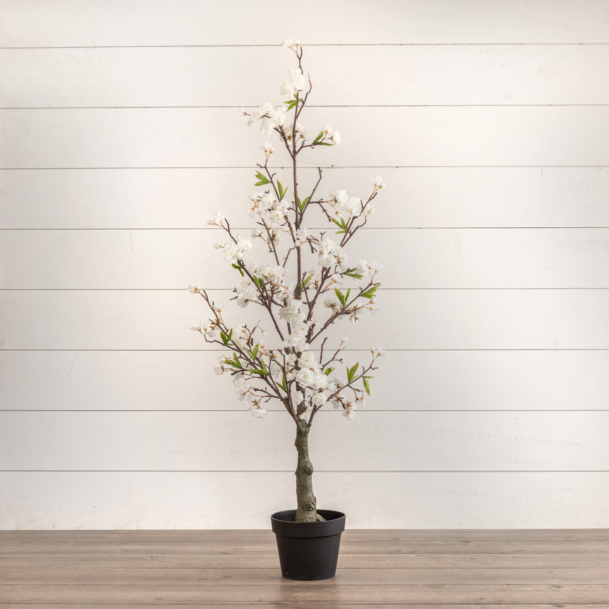 Faux White Cherry Blossom Potted Tree | 4'