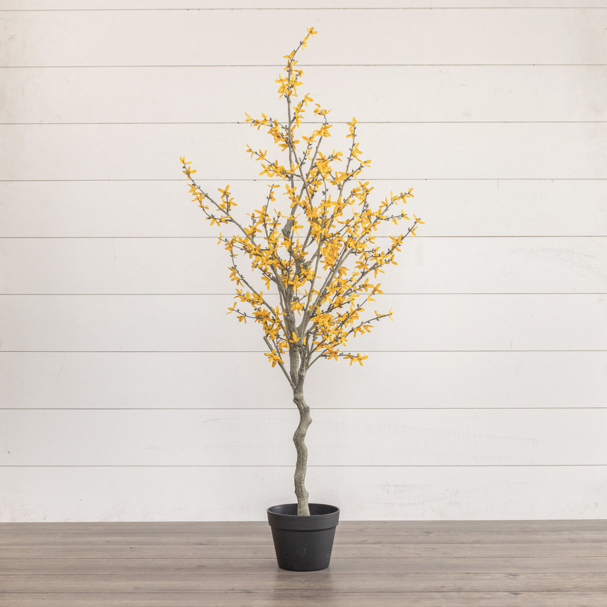 Faux Yellow Winter Jasmine Potted Tree | 4.25'