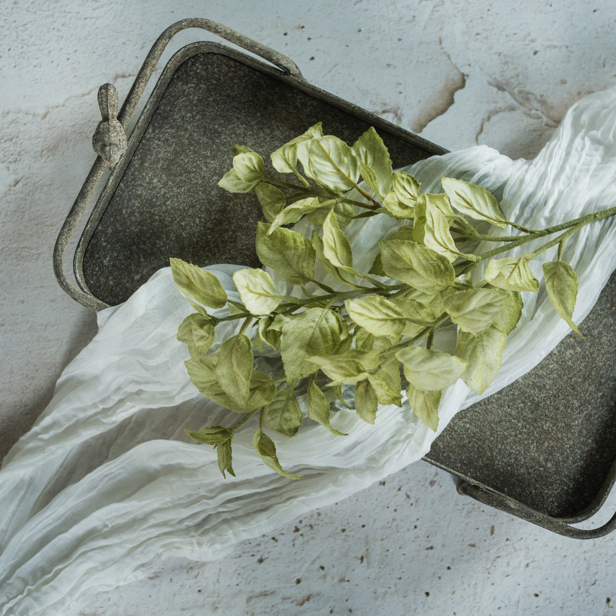 Green Perilla Leaf Spray