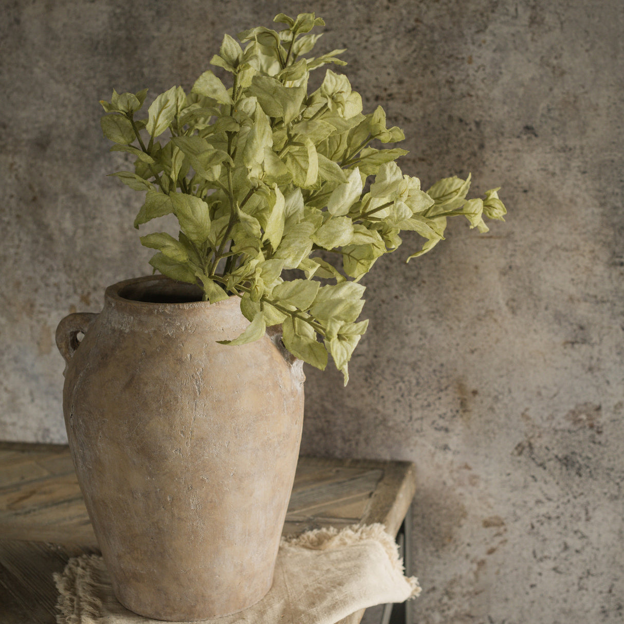 Green Perilla Leaf Spray