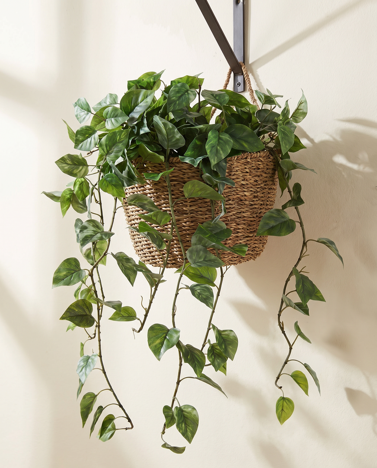 Natural Touch Pothos Hanging Vine Plant