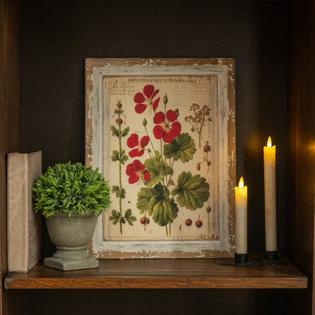 Red Blooming Geranium Print on Distressed Wood Frame