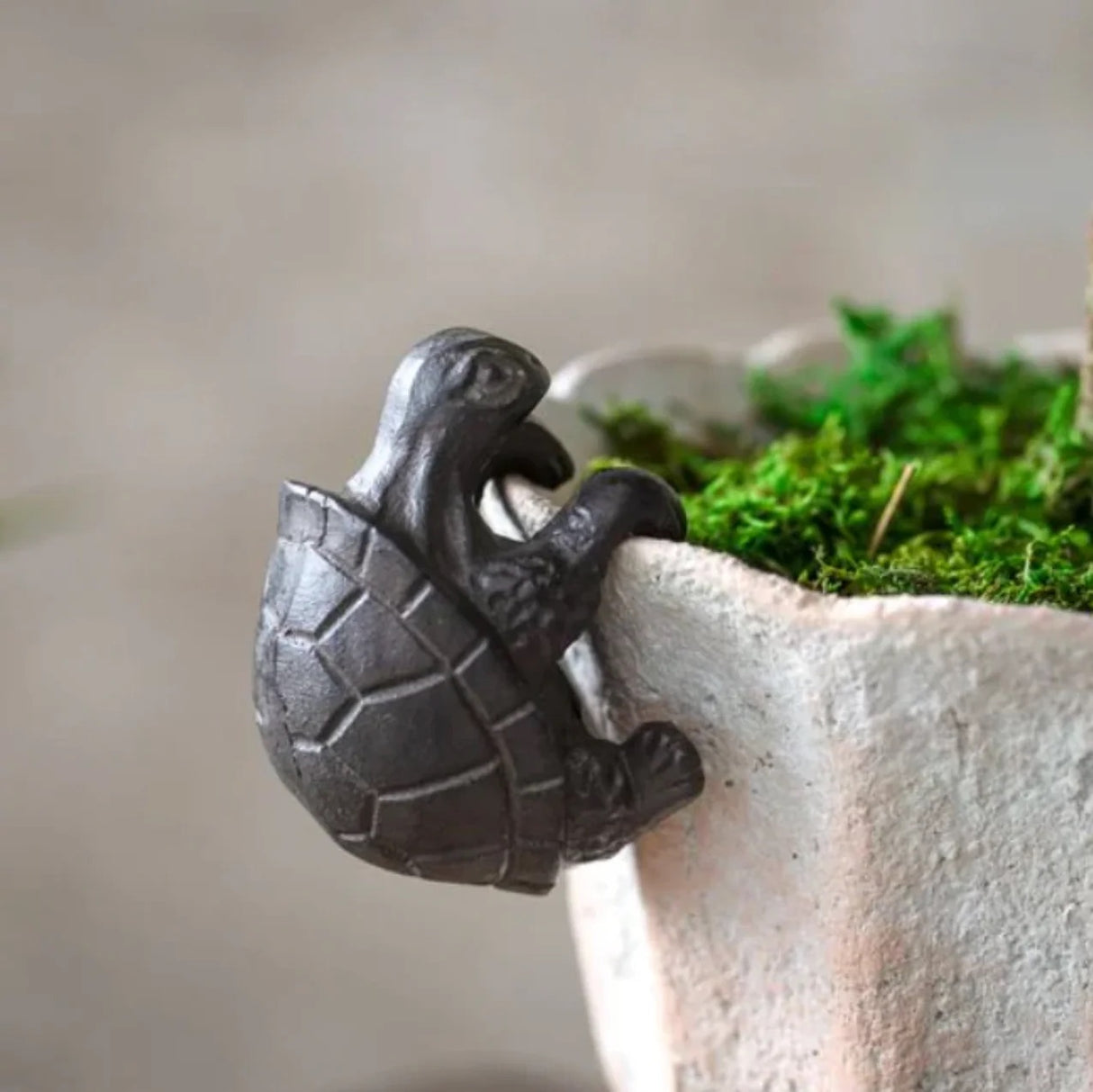Cast Iron Turtle Pot Hanger