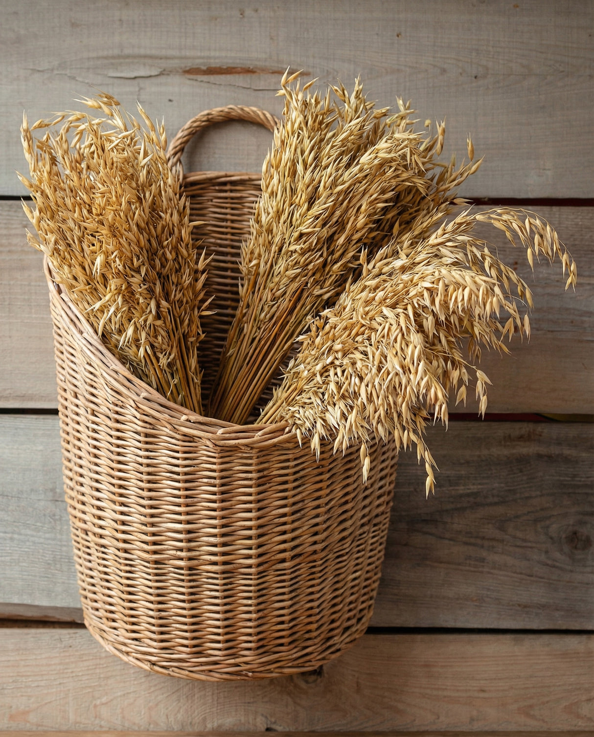 Dried Wild Oats Botanical Bunch