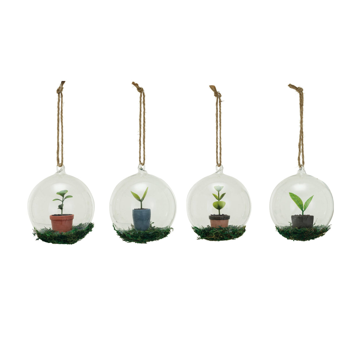 Glass Ball Ornament with Garden Starts Sprout & Moss