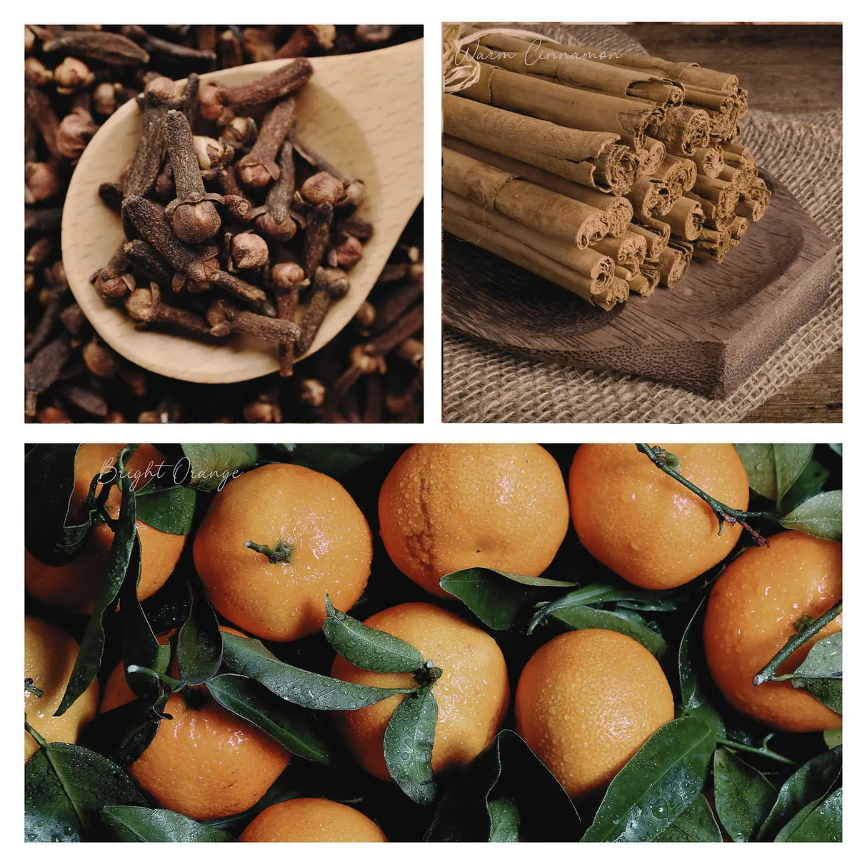 Be Merry & Bright Winter Simmer Mix | Holiday Stovetop Potpourri