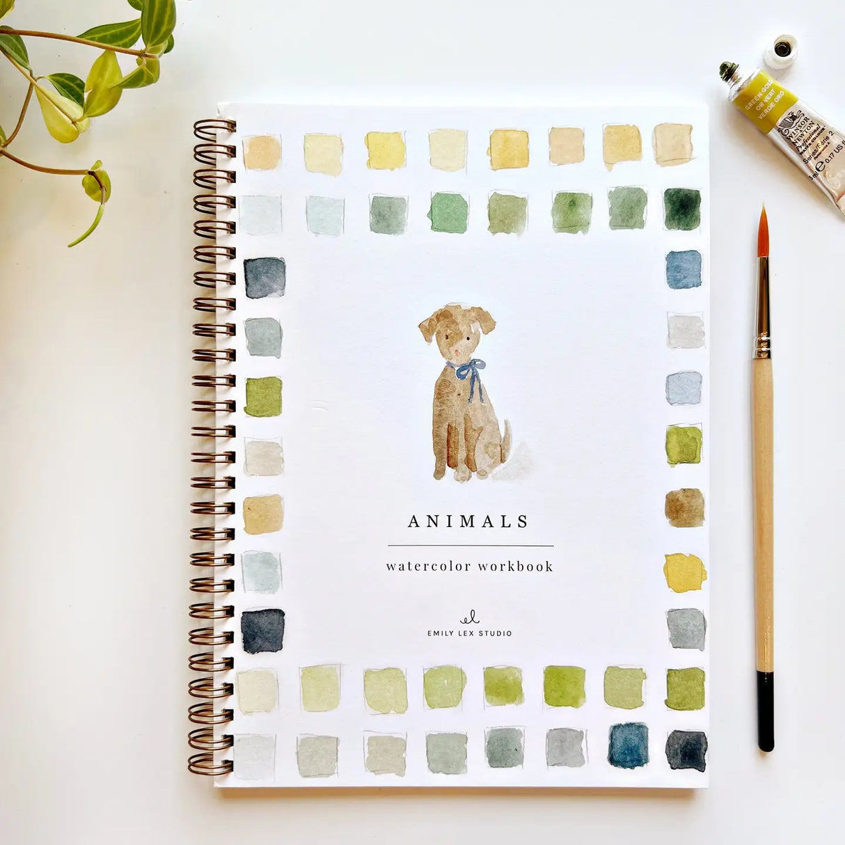 nimals Watercolor Workbook with 12 animal illustrations, instructions, and spiral binding