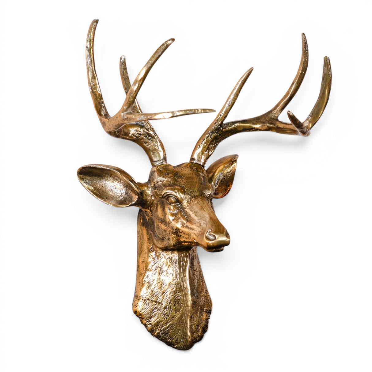Antique gold deer head wall décor with large branching antlers