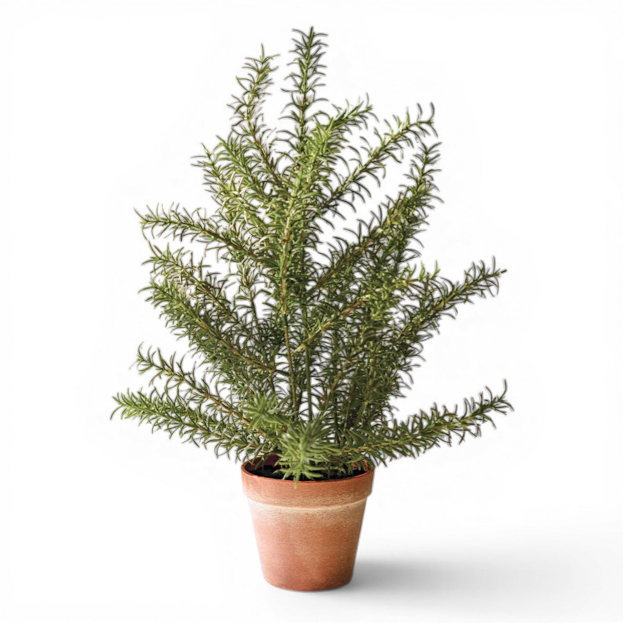 artificial rosemary plant in terracotta pot faux kitchen herb decor