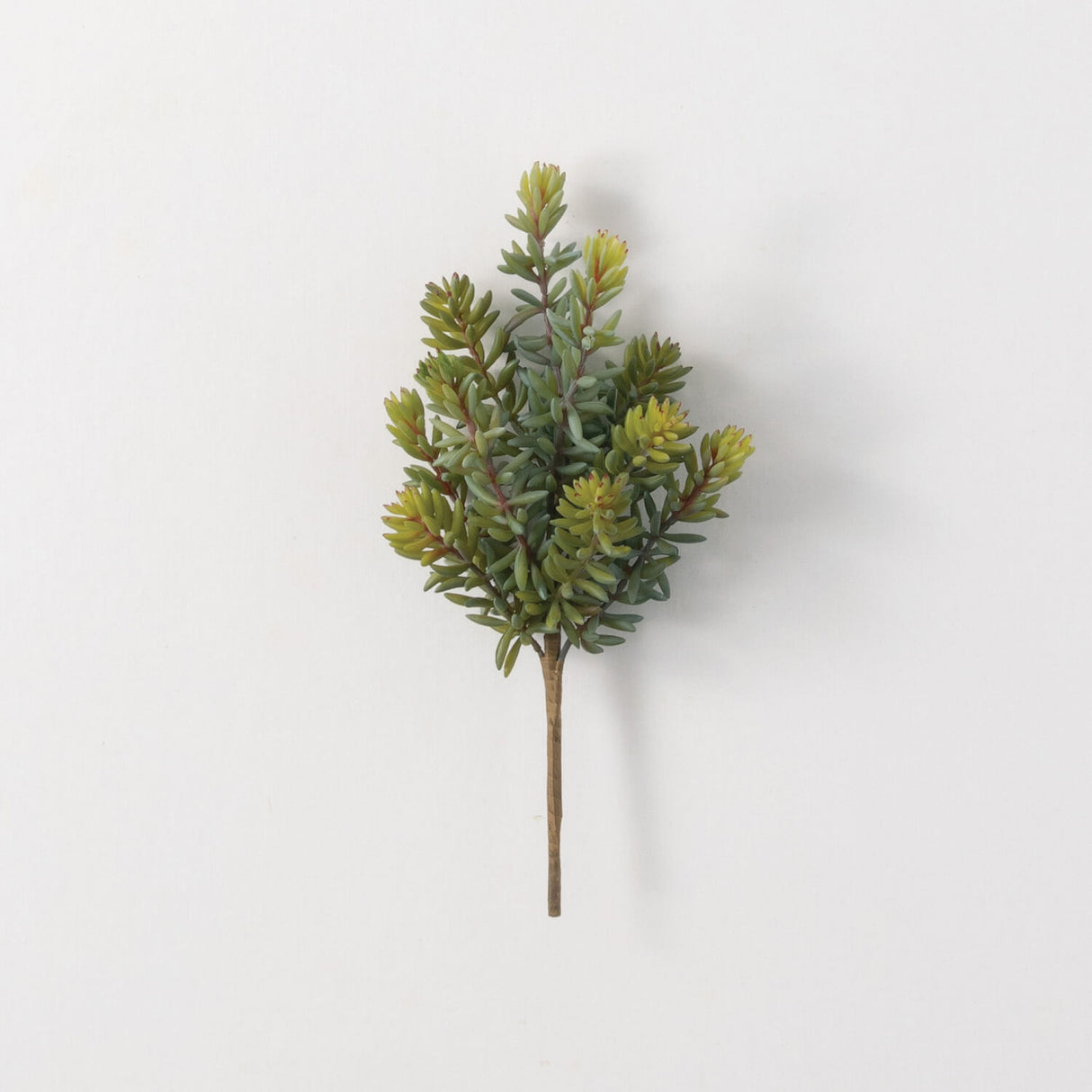 Realistic faux succulent pick with green and yellow tips