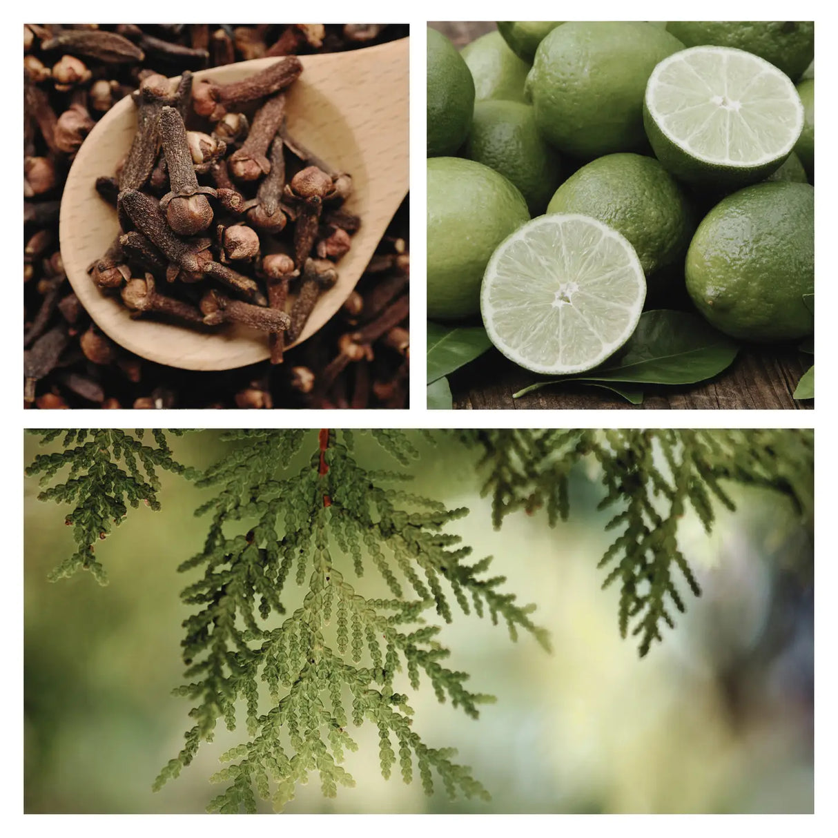 Be Northern Winter Simmer Mix | Natural Stovetop Potpourri