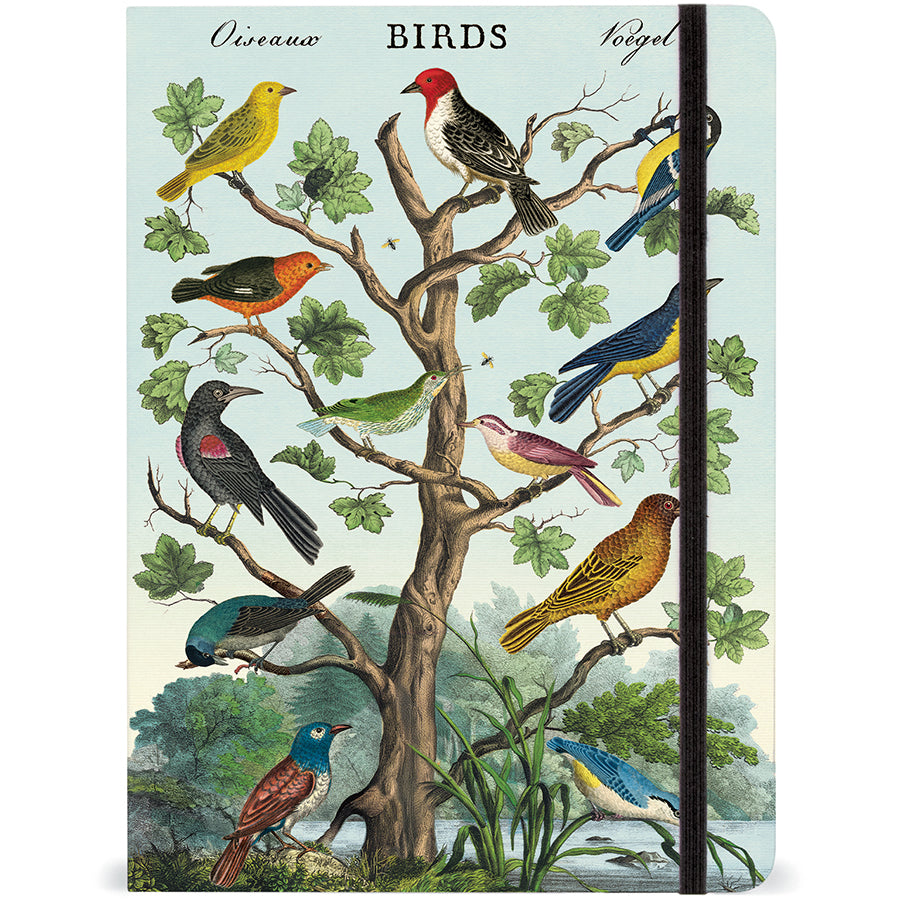 Birds large notebook with colorful vintage bird illustrations and elastic closure, 6x8 inches