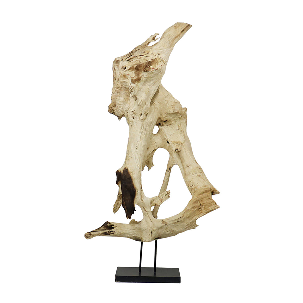 Bleached erosion wood sculpture with organic form, mounted on a black metal base for display.