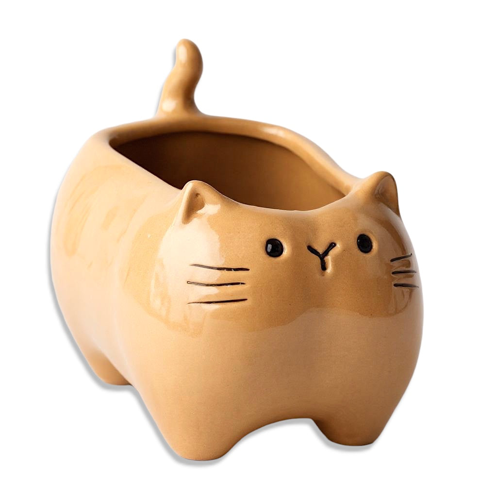 Beige ceramic cat-shaped planter on wooden tray beside potted fern