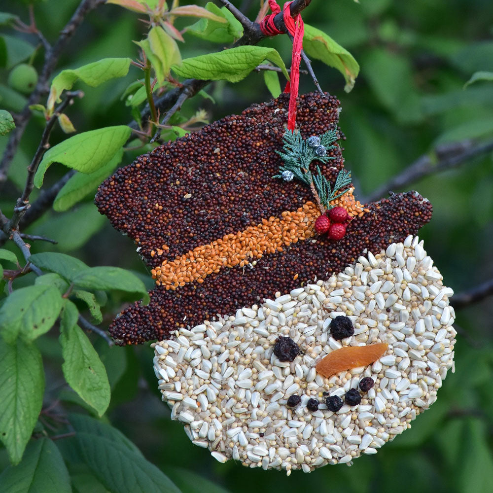 Christmas Cookie Bird Seed Treat | Mr. Bird