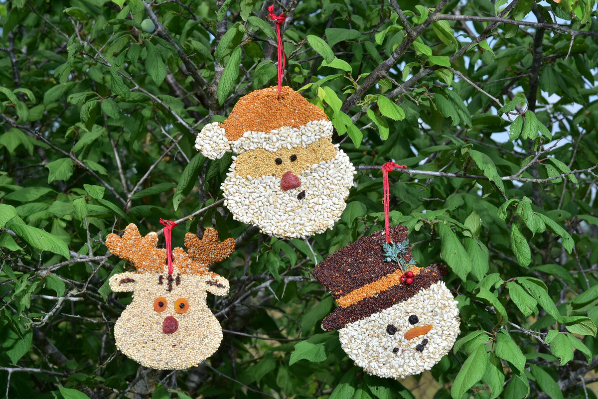 Christmas Cookie Bird Seed Treat | Mr. Bird
