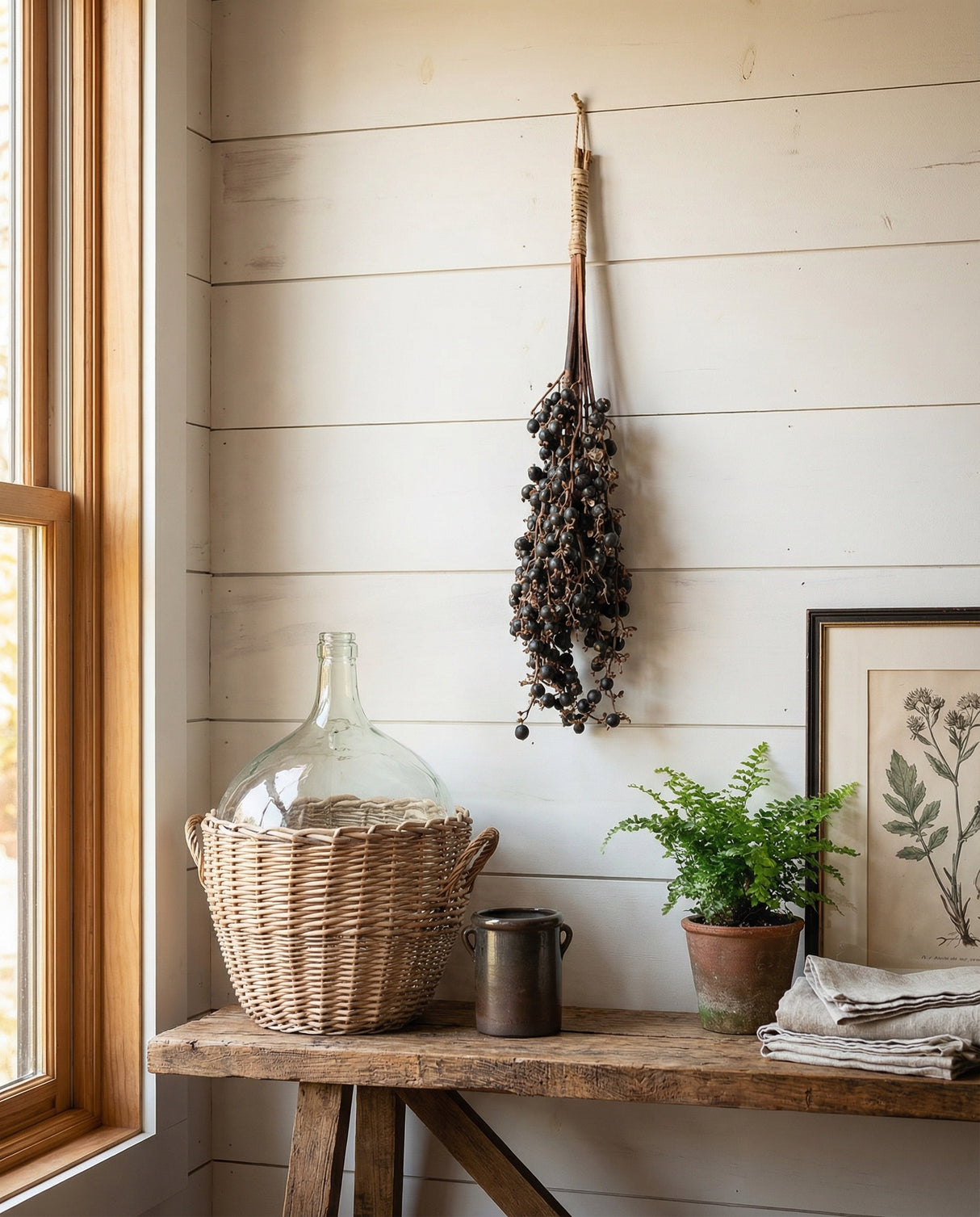 Dried Palm Fruit Cluster Botanical Stem