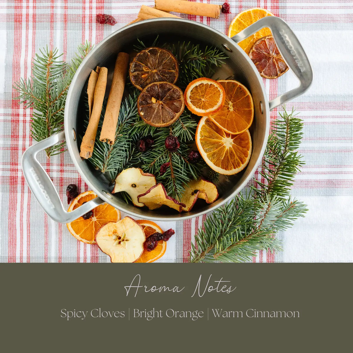 Be Merry & Bright Winter Simmer Mix | Holiday Stovetop Potpourri
