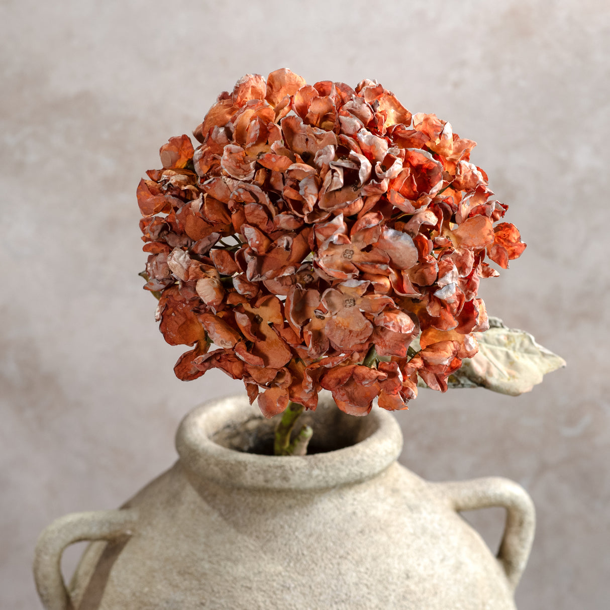 Autumn Orange Hydrangea Branch
