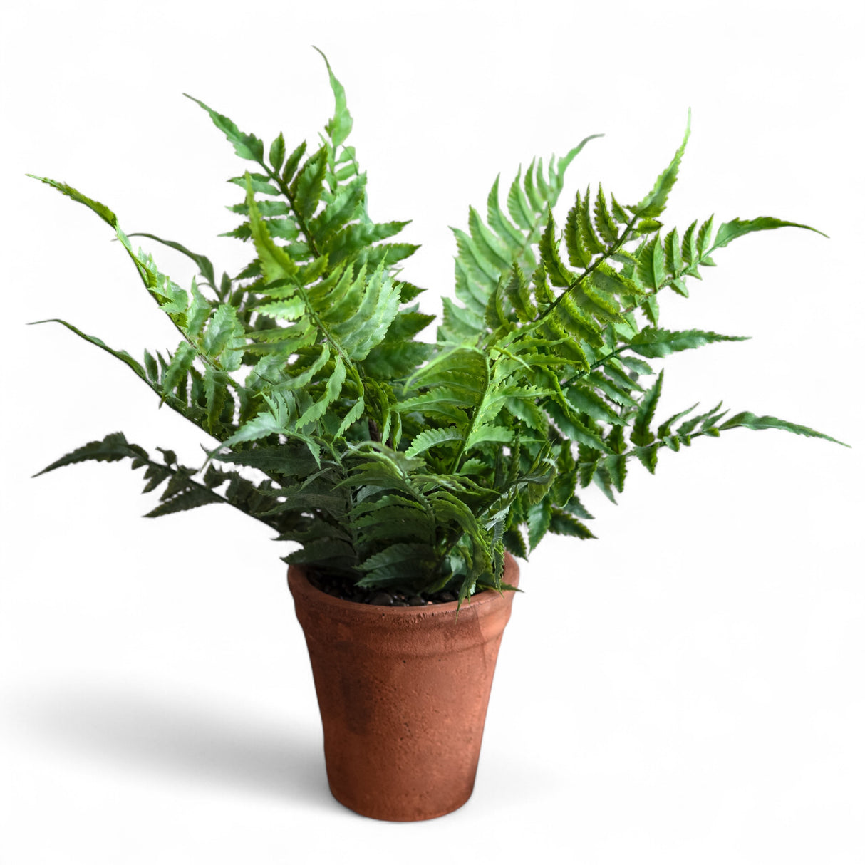15" faux fern in rustic terracotta pot with realistic green fronds