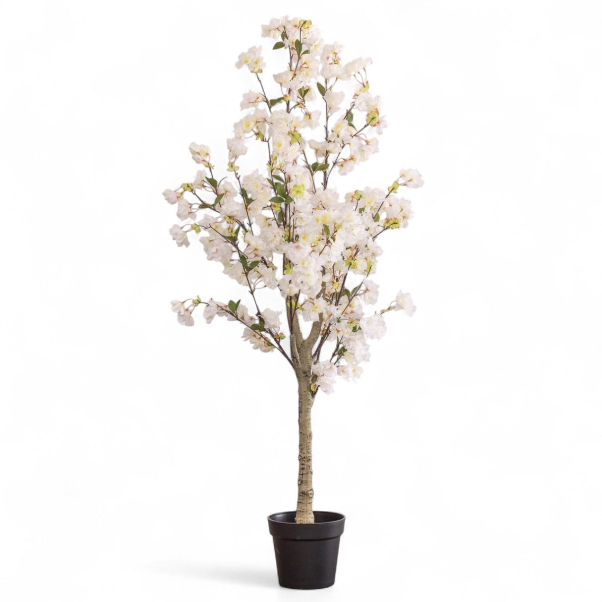 Tall faux cherry blossom tree with white flowers in a black pot, 5.25 feet high