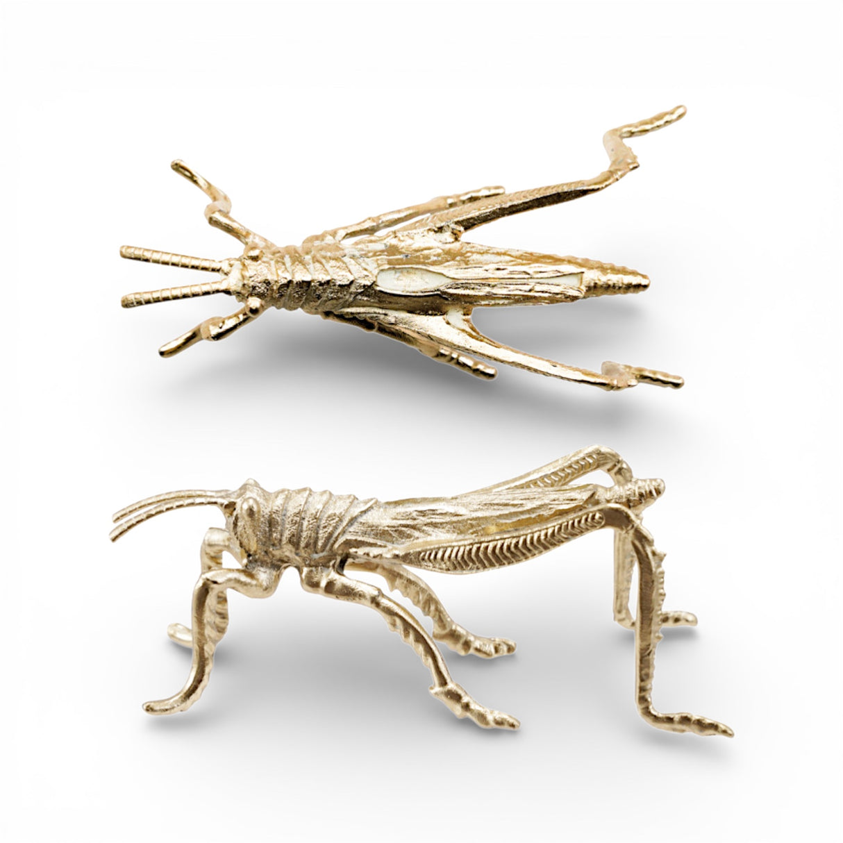 gold finish pewter grasshopper figurine decorative tabletop accent