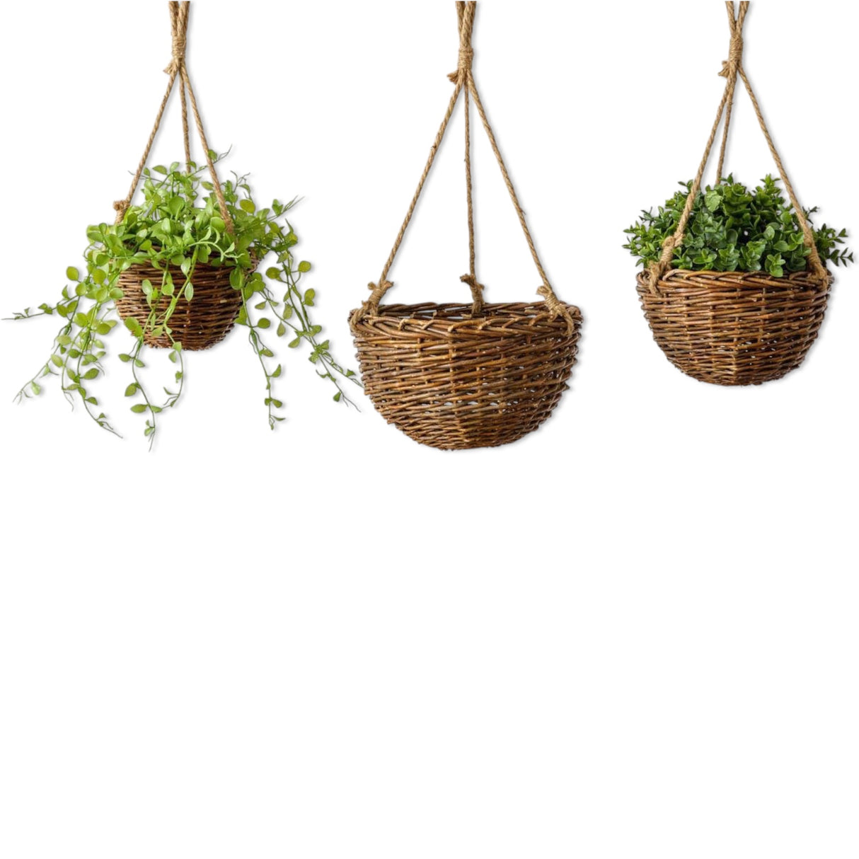 Set of three hanging willow baskets with rope hangers in varying sizes, displayed with greenery.