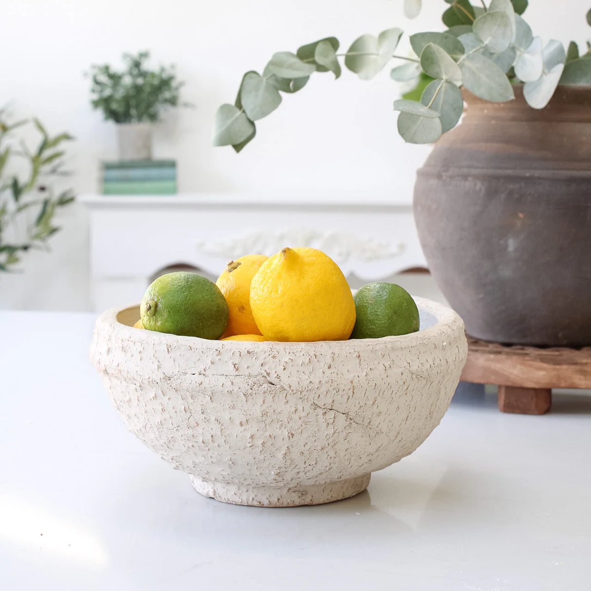 Whitewashed Textured Terra Cotta Decorative Bowl