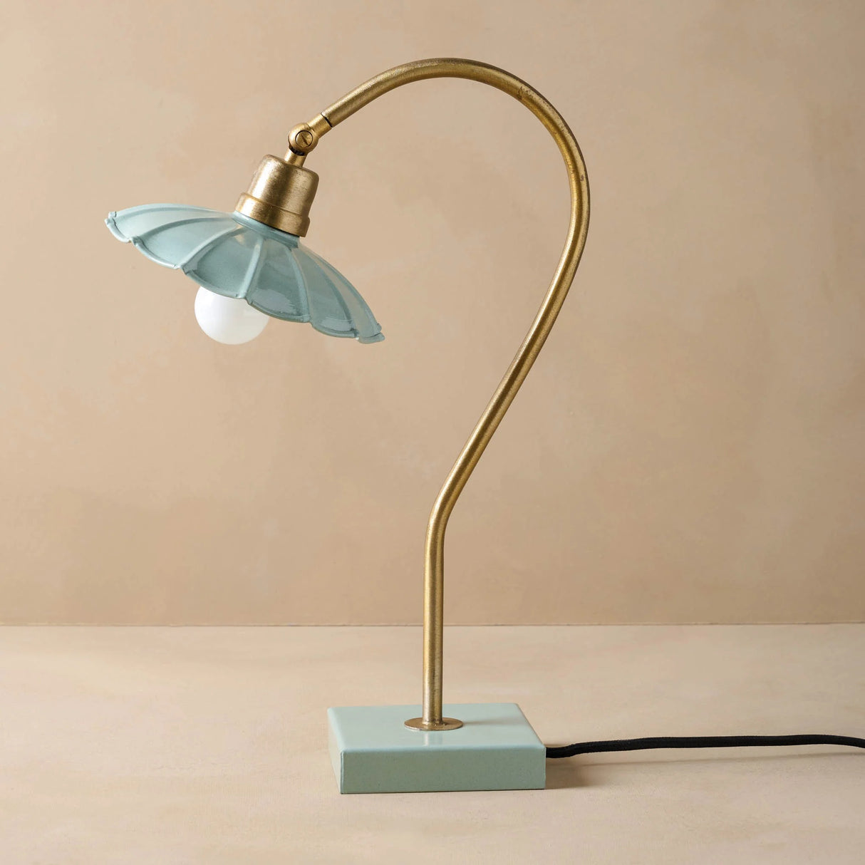 Antique Brass Gooseneck Table Lamp with Enamel Shade
