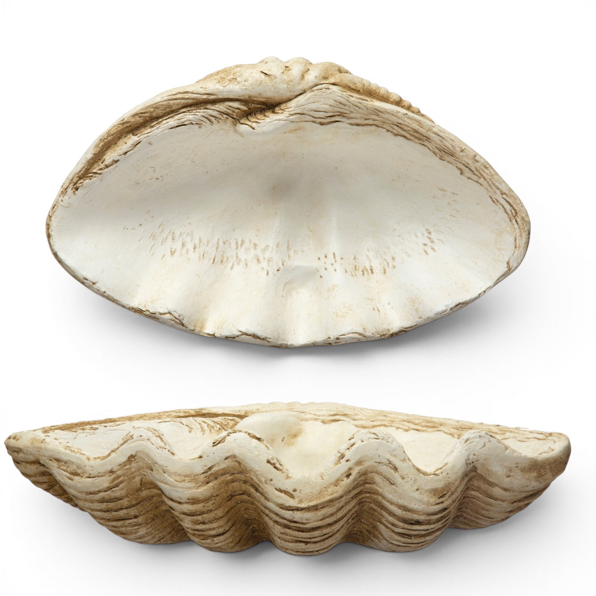 large clamshell decor bowl coastal shell centerpiece textured decorative bowl neutral home decor