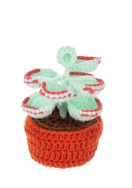 Crochet Succulent Plant Figurines | Handcrafted Yarn Decor