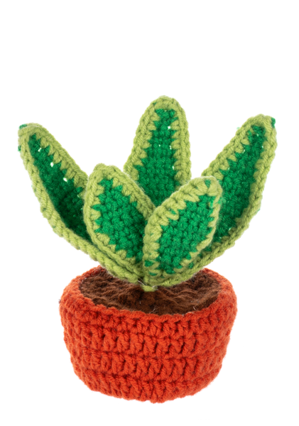 Crochet Succulent Plant Figurines | Handcrafted Yarn Decor