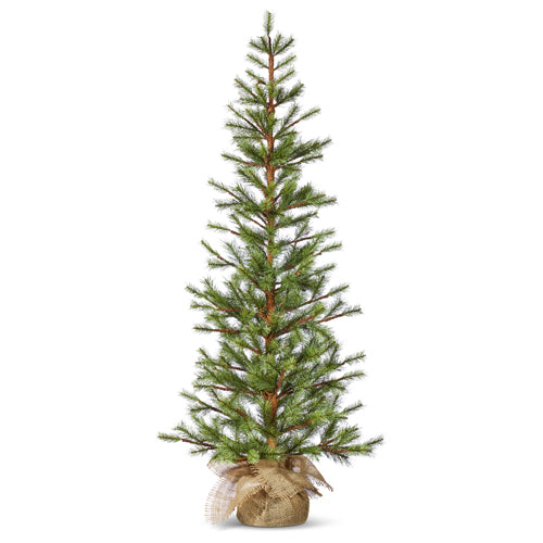 Slim Pine Trees in Burlap Bag