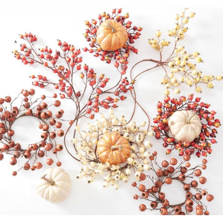 Cream Rosehip Stem