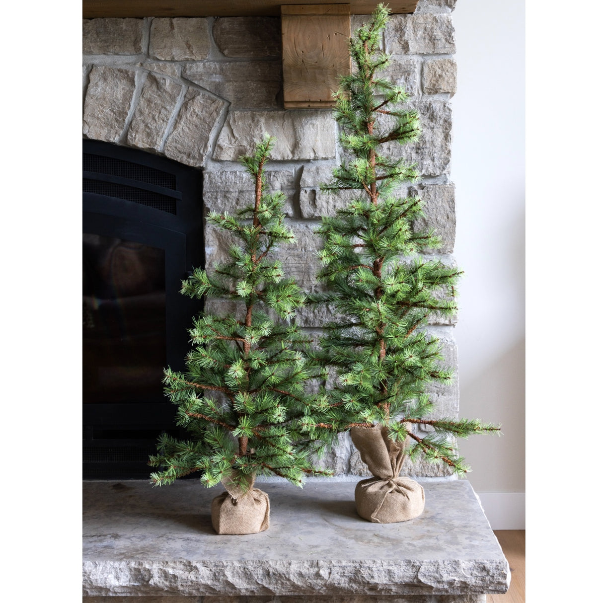 Slim Pine Trees in Burlap Bag