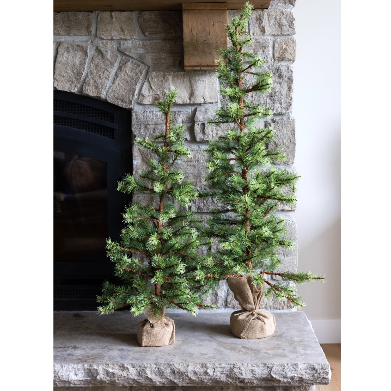 Slim Pine Trees in Burlap Bag