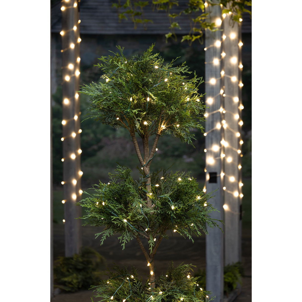 Micro LED Warm White String Lights