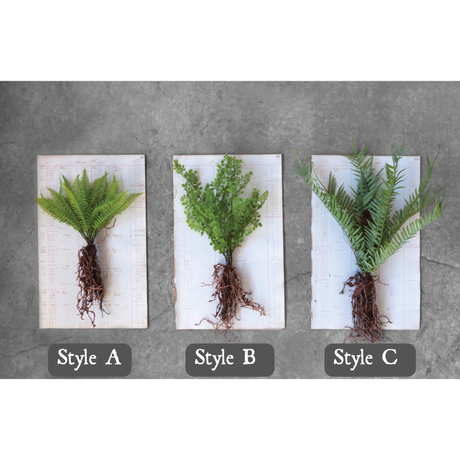Faux Ferns with Exposed Roots