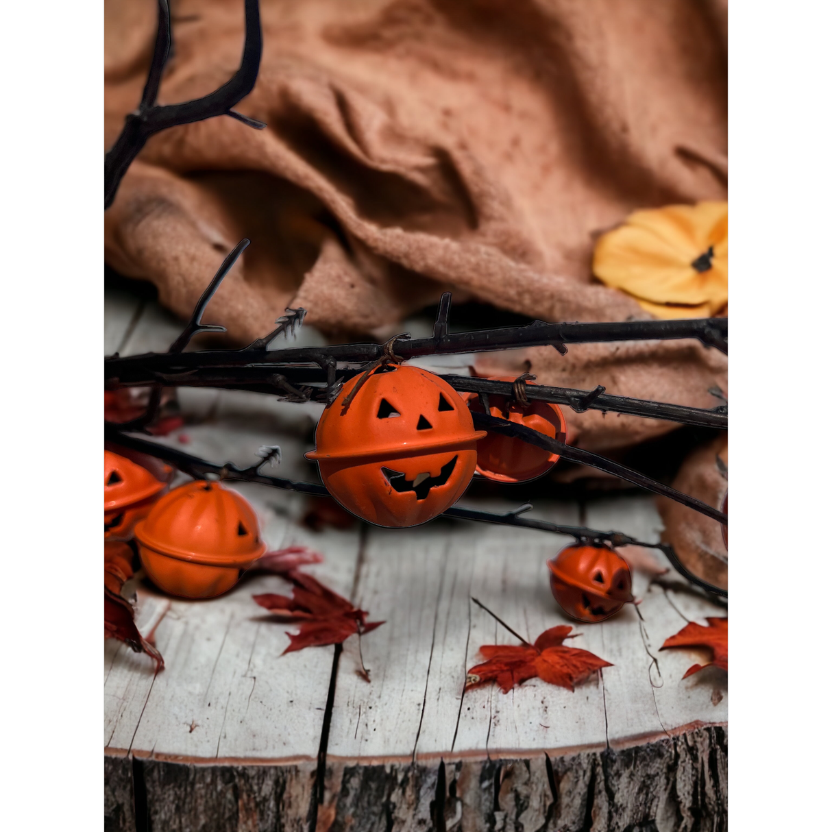 Orange Jack-O-Lantern Pumpkin Stem