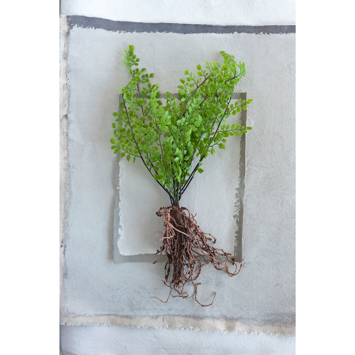 Faux Ferns with Exposed Roots