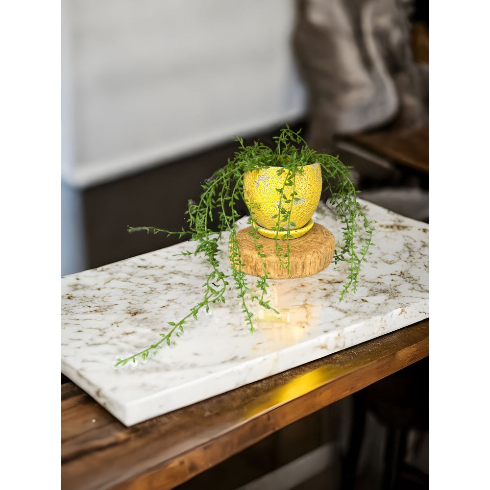 Hanging Faux Ivy/Succulent in Paper Mache Pot with Jute Hanger