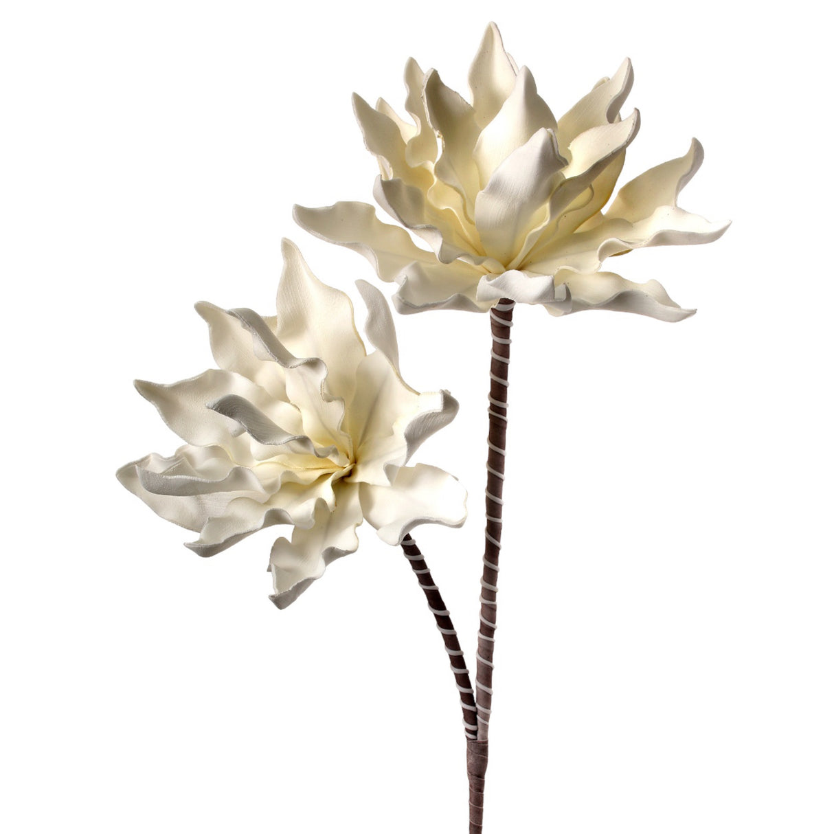 Foam Double Star Succulent